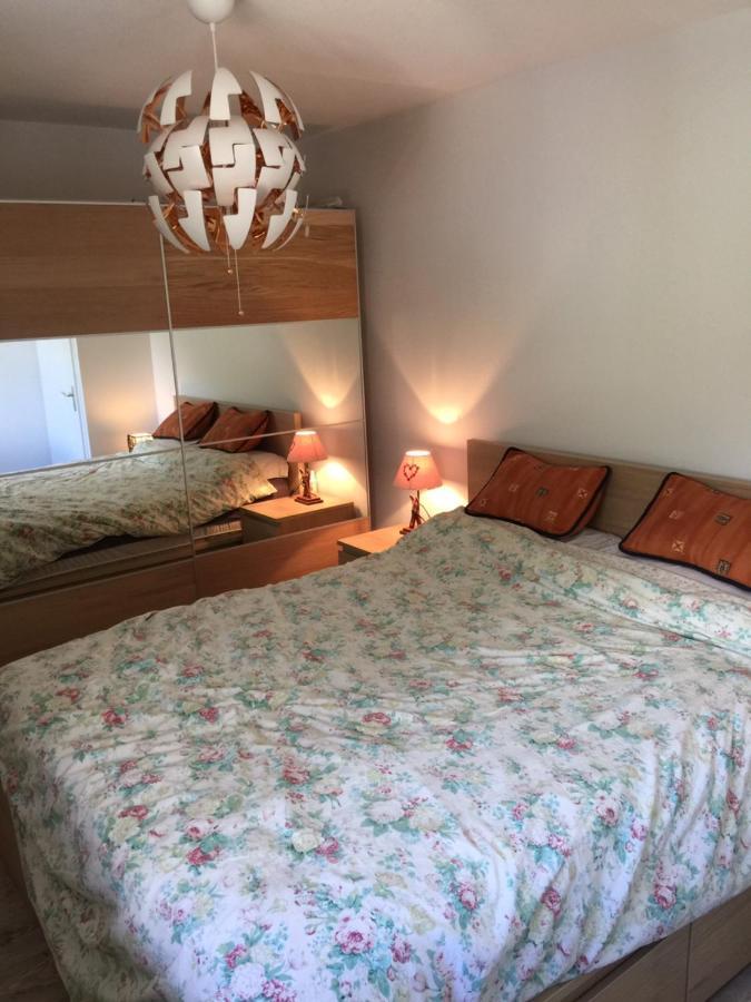 Appartement Face Au Mont Blanc & Glaciers 샤모니 외부 사진