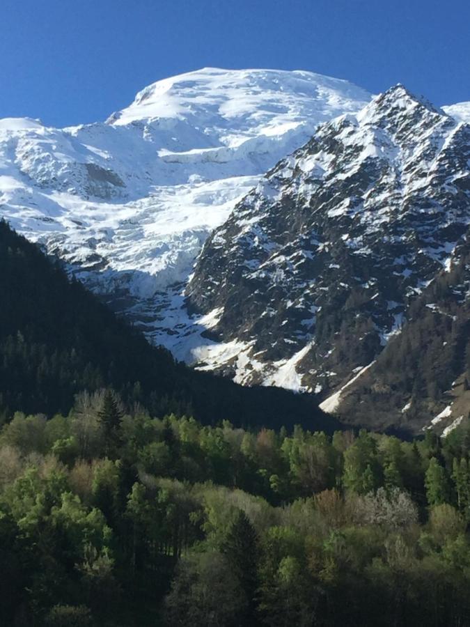 Appartement Face Au Mont Blanc & Glaciers 샤모니 외부 사진